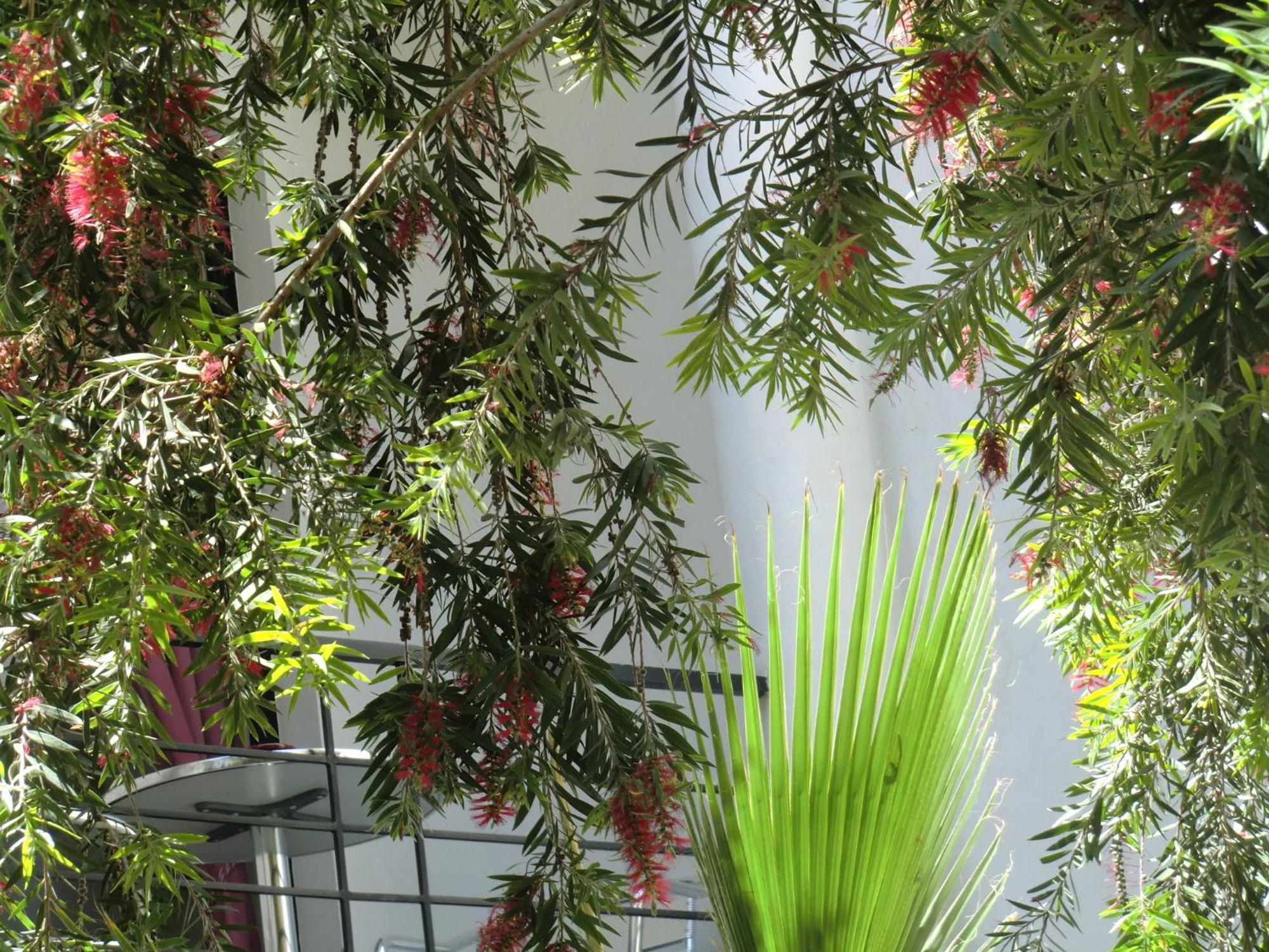 Riad Tchina Marrakesh Extérieur photo