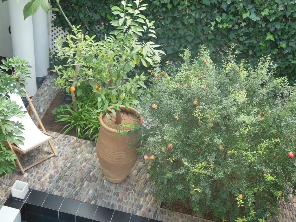 Riad Tchina Marrakesh Extérieur photo