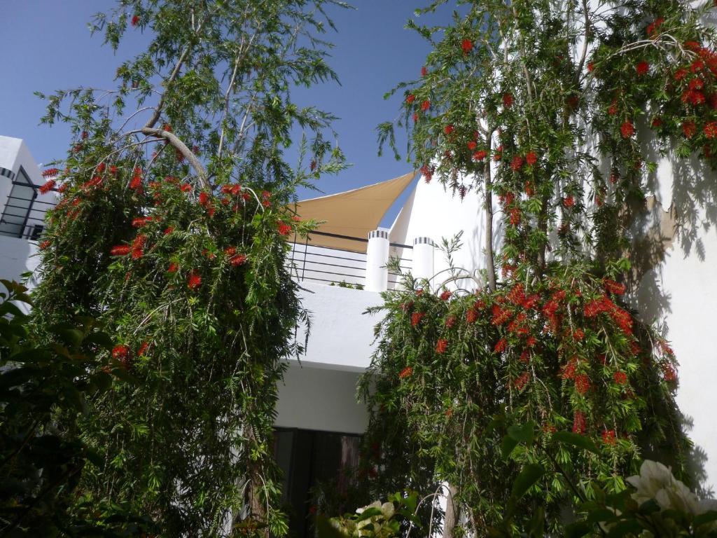 Riad Tchina Marrakesh Extérieur photo